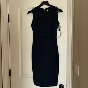 NWT Calvin Klein Dress